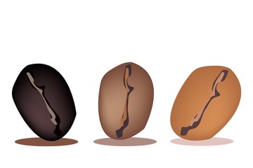 Three Colors of Coffee Beans in A Row