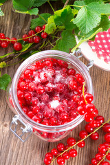 sugared red currant