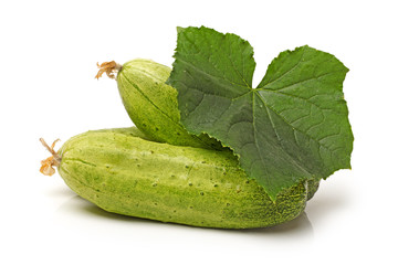 asian,background,blume,brown,chinese,closeup,cooking,cuisine,dong,dry,elata,female,food,fragrant,ginseng,healing,health,healthy,herb,herbology,holistic,ingredients,isolate,isolated,medicine,nobody,ori