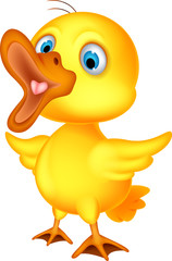 little chick cartoon presenting