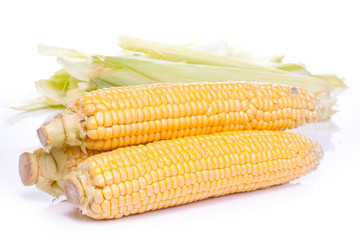 An ear of corn isolated on a white.