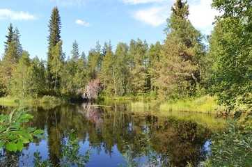 озеро в лесу