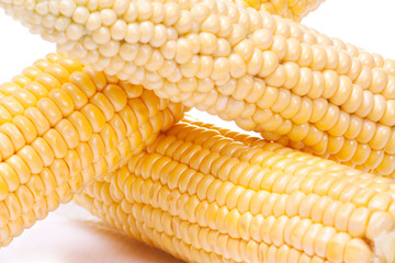 Frash corn cob isolated on a white.