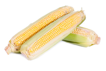 An ear of corn isolated on a white.