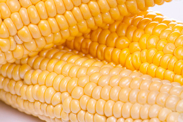 Frash corn cob isolated on a white.