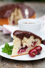 chocolate cake with fresh berry