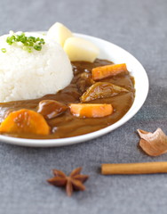curry with rice Japanese style
