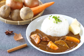 curry with rice Japanese style