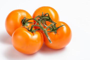 Tomatoes on a white background