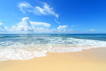 南国沖縄　コマカ島の美しいビーチ - obrazy, fototapety, plakaty