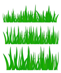 green grass, vector illustration