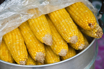 Boiled sweet corn.