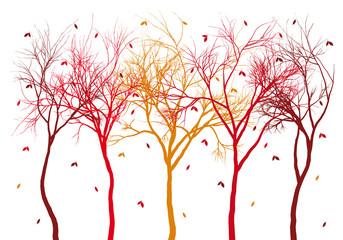 autumn trees with colorful falling leaves, vector