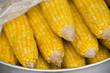Boiled sweet corn.