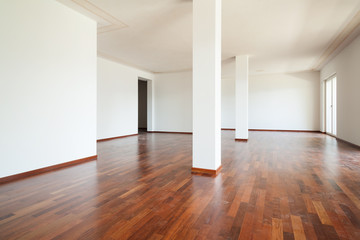 interior apartment, large living room with columns