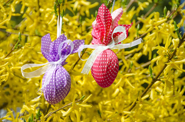 Zwei farbige Ostereier hängend in einer Forsythie 1