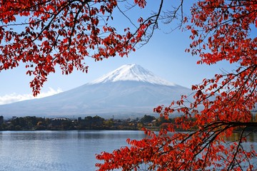 Fototapeta premium Mt. Fuji jesienią