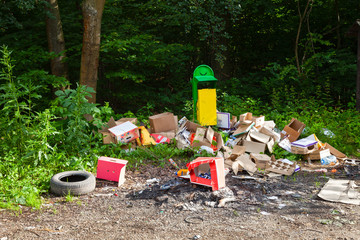 Garbage in landfill near forest - environment pollution.