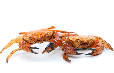 Prepared two crabs
