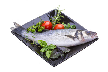 Raw seabass