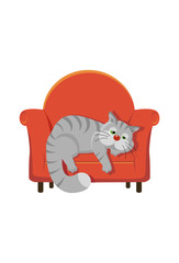 grey tabby cat lying on a chair
