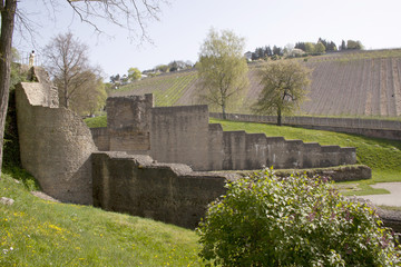Fototapeta na wymiar Ruins of the Roman amphitheatre