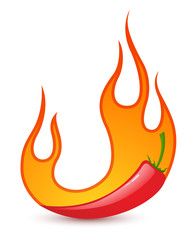 burning hot chili peppers on a white background