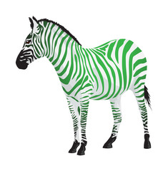 Fototapeta na wymiar Zebra with strips of green color.