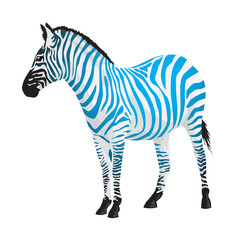 Fototapeta na wymiar Zebra with strips of blue color.