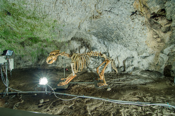 Fototapeta na wymiar Muierilor Cave