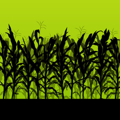Corn field detailed countryside landscape illustration backgroun © kstudija