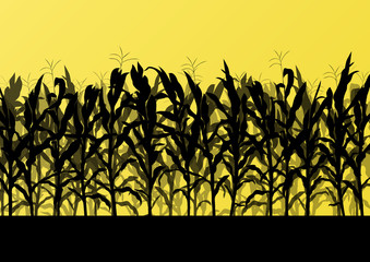 Corn field detailed countryside landscape illustration backgroun