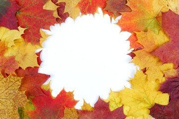 Naklejka na ściany i meble Frame composed of colorful autumn leaves