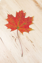 Naklejka na ściany i meble Autumn leave on wooden background texture