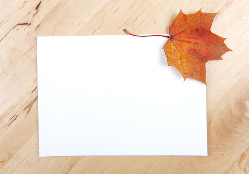 Autumn leaves with paper sheet on wooden background texture