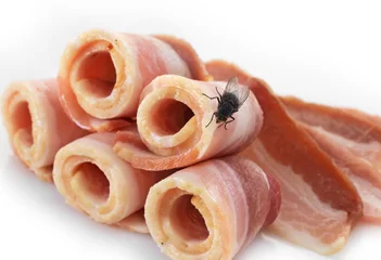 Crédence de cuisine en verre imprimé Viande macro shot of fly on meat