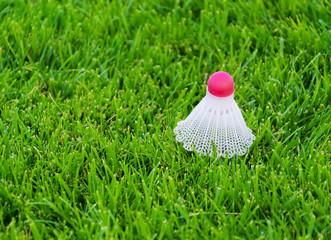 Shuttlecock on the grass