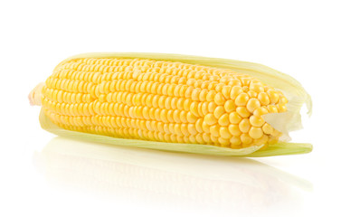 Fresh Corn on the Cob Isolated on White Background