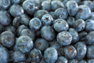 Blueberries close-up