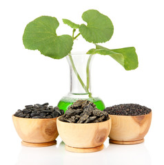 Conceptual photo of bio fuel.  Isolated on white