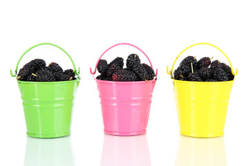 Fototapeta na wymiar Ripe mulberries in buckets isolated on white
