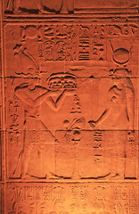 Ancient hieroglyphics on the wall of Philae Temple