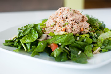fresh chopped tuna salad