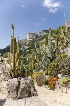 Экзотический сад в Монако