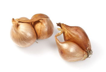 Bulbs of Golden Shallots