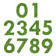 Set of Green Grass Numbers 0-9