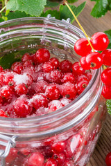 sugared red currant