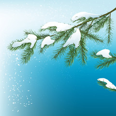 Fototapeta na wymiar 02_Christmas tree branch snow