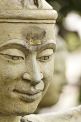 face of hermit in thailand