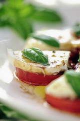 Fresh caprese salad with delicious tomatos + mozzarella and bas
